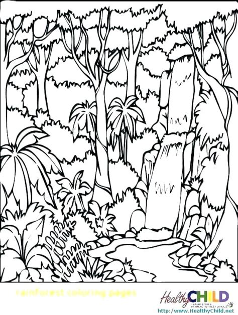 Tropical Rainforest Coloring Pages At Free Printable