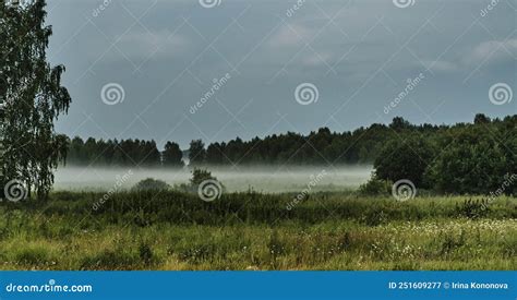 Mysterious Fog In Countryside Misty Meadow On Summer Evening Foggy