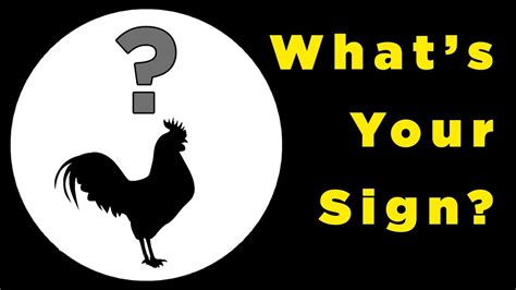 A preoccupation with material concerns and… What Your Chinese Zodiac Sign Says About You - YouTube