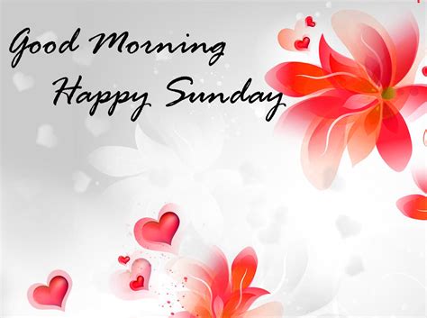 Hd Wallpaper Good Morning Happy Sunday Hd Images Download Good