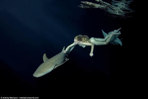 Irina Britanova Swims Naked With Sharks In The Maldives Daily Mail Online