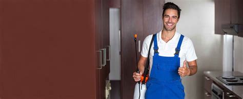 Anaheim, ca 108 pest control companies near you. Pest Control Port Dover, ON | Reliable Removal, Pest ...