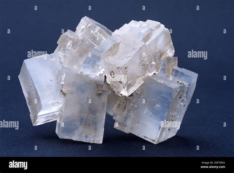 Halite Or Rock Salt Is A Sodium Chloride Mineral Crystallized Sample