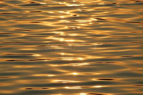 Mesmerizing Shot Of The Golden Sun Rays Reflecting In The Lake Stock