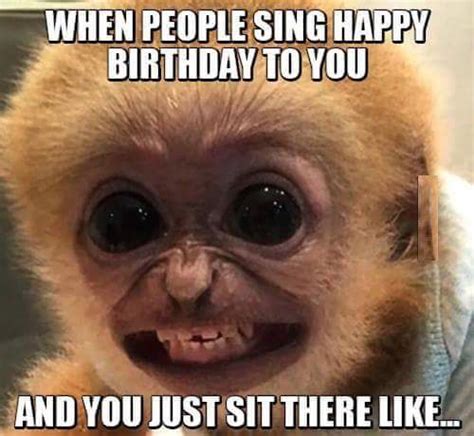 These funny monkey pictures will make you fall out of your tree. You look like a monkey - Birthday Humor - Humor, Jokes ...