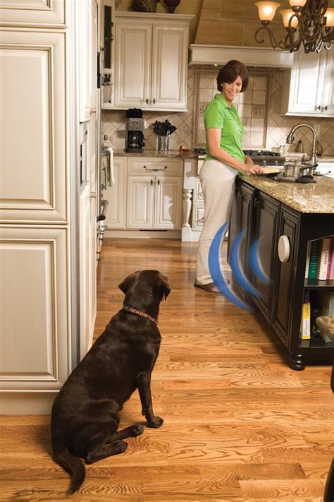 Invisible dog fence installation keeps your dog safe. Indoor & Outdoor Avoidance Solutions - Invisible Fence