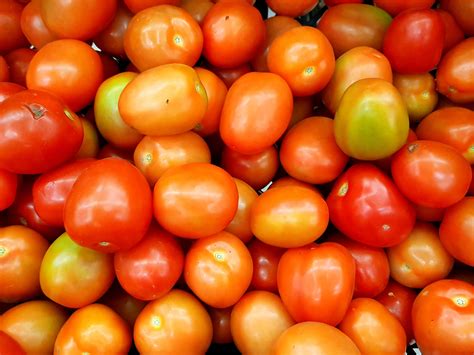 Da To Upgrade Ilocos Nortes Tomato Processing Plant Agriculture Monthly