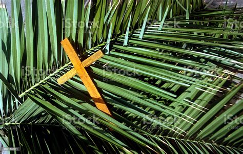 Wooden Cross On Palm Leafs Palm Sunday Stock Photo Download Image Now