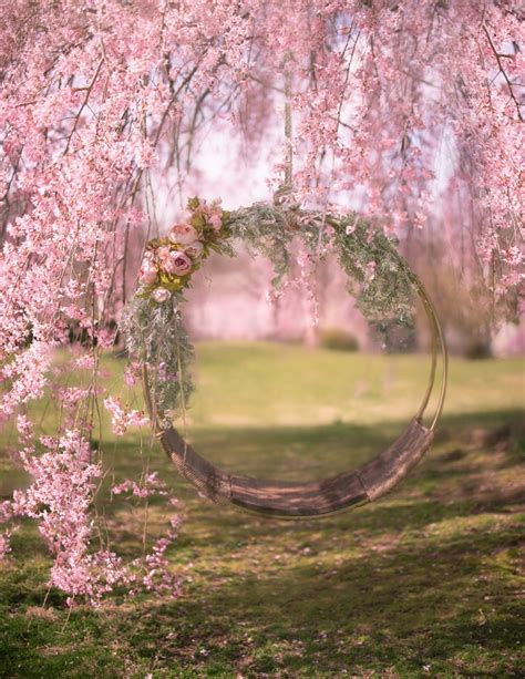 Cherry Blossom Swing Digital Background Etsy