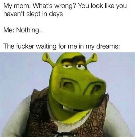 Shrek Moto Moto ͝° ͜ʖ͡°ᕤ Shrek Shrek Memes Animal Jokes