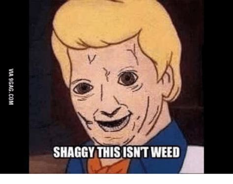 Shaggy This Isntweed Shaggy Meme On Meme