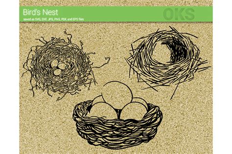 Birds Nest Svg Vector Graphic By Crafteroks Creative Fabrica