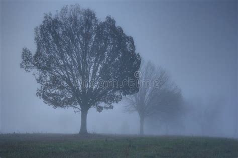 Foggy Country Morning Stock Image Image Of Country Raleigh 26109099