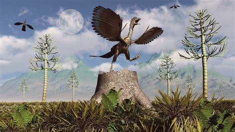 Meet Archaeopteryx The Feathered Dino With Wings And Teeth Howstuffworks
