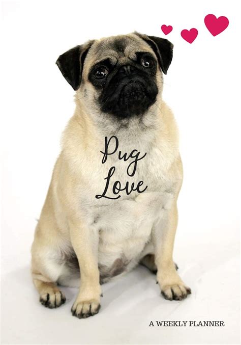 Droll Pug Love L2sanpiero