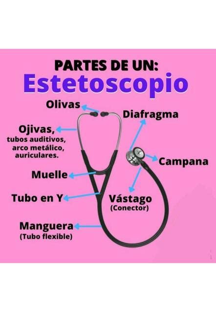 Estetoscopio Medicina Signos Vitales Enfermeria Examen Fisico Diverso Sexiz Pix