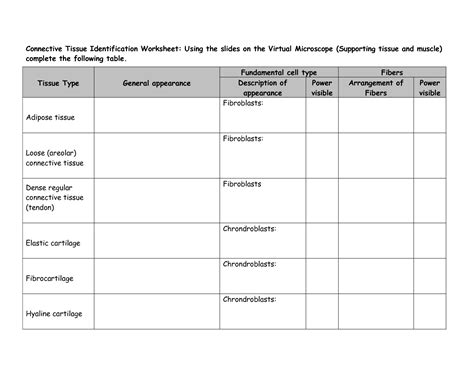 17 Best Images of For Tissues And Membranes Worksheets - Plant Tissue