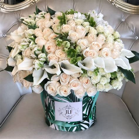 We did not find results for: Las Vegas Flowers - JLF Las Vegas | Flower delivery, Fresh ...