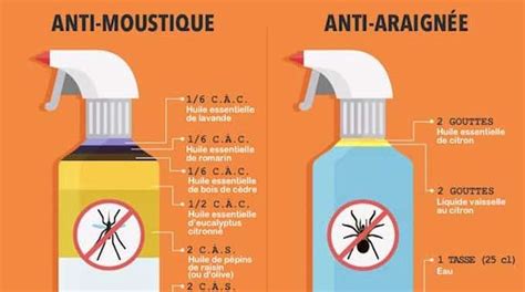 7 Répulsifs Naturels Contre Les Insectes à Lefficacité Redoutable