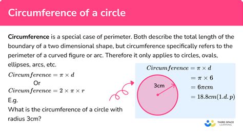 Circumference Of A Circle Gcse Maths Steps And Examples