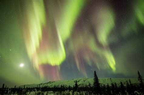 Did You Know That The Northern Lights Can Appear In Many Shades Here