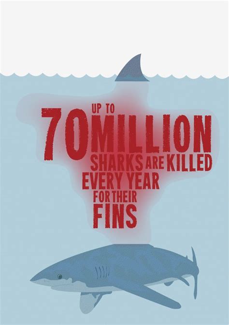 Petition · Stop Shark Finning ·