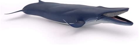 Papo 56037 Blue Whale Marine Life Figurine Multicolour Toptoy