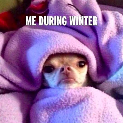19 Memes Youll Relate To If Youre Always Cold