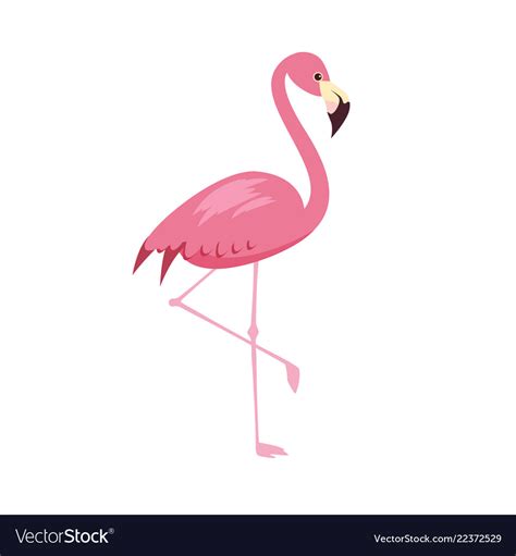 Pink Flamingo Clipart Vectored Image Voljobs