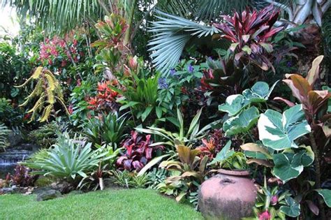Tropical Garden Ideas Australia Janette Manuel