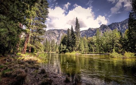 Landscape Nature Beautiful Forest Area Wild Sky