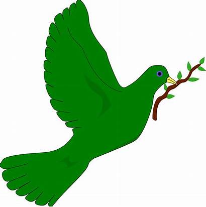 Dove Clipart Bird Peace Clip Cliparts Earth