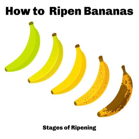 How To Ripen Bananas The Kitchen Magpie