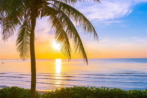 Beautiful Outdoor Tropical Landscape Of Sea Ocean Beach With Coconut