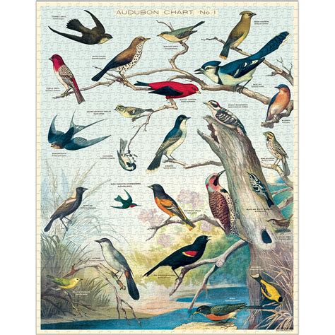 Cavallini And Co Audubon Birds 1000 Piece Jigsaw Hus And Hem