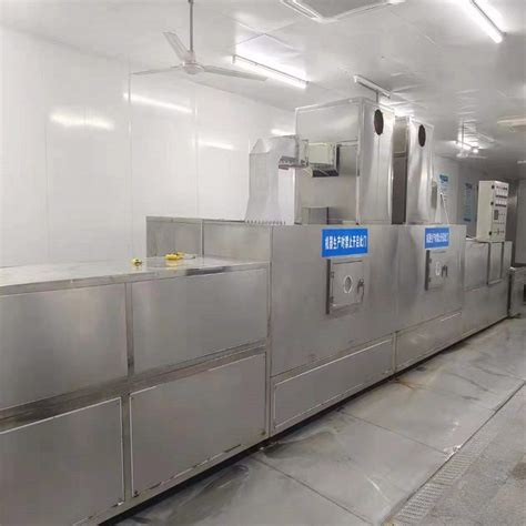 Industrial Frozen Meat Blocks Thawing Machine Seafood Defrosting
