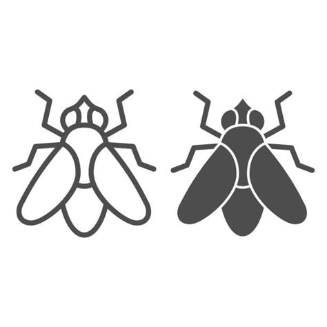 Housefly Silhouette Illustrations Royalty Free Vector Graphics And Clip