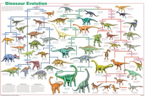 A back to back mashup of tonnes of wild dinos from dino dan!click here to subscribe for more dinosaur action every week. Dinosaur Evolution Poster - Dan's Dinosaurs