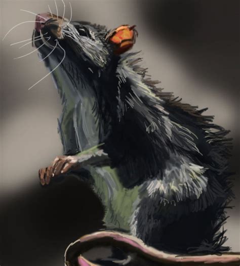 Rat Speed Painting Rats Animal Drawings Animal Art