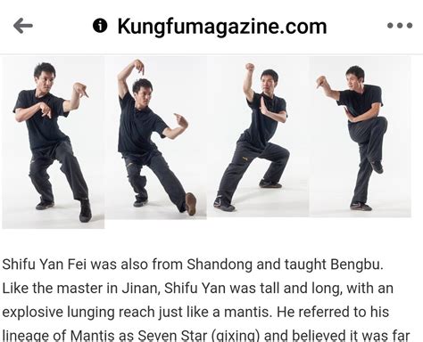 The Benefits Of Learning Northern Style Praying Mantis Kung Fu Adopt