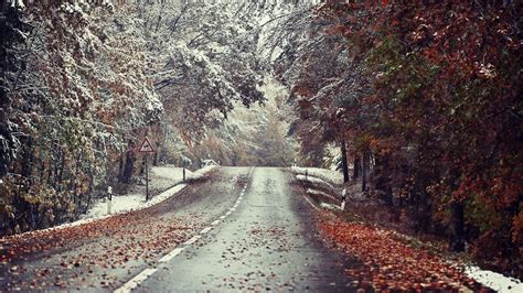 Winter Landscape Road Snow Leaves Wallpapers Hd