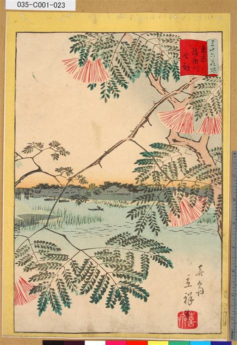 Utagawa Hiroshige Ii 三十六花撰 東京綾瀬川合歓 廿二 Tokyo Metro Library