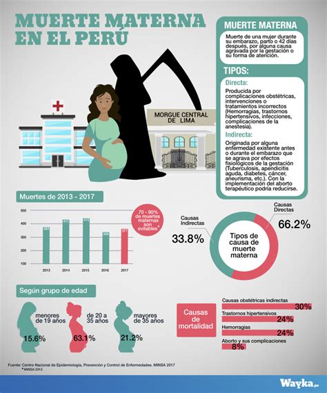 Mortalidad Materna En El Perú Wayka