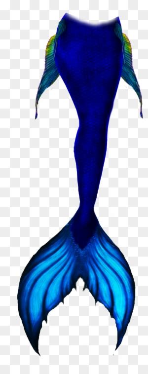 Mermaid Tail Blue Shaded Png By Amabyllis On Deviantart Mermaid