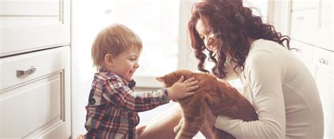 Cats And Kids Tips For A Harmonious Household Four Paws
