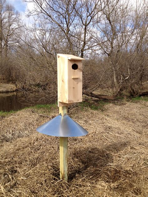 Wood duck house duck house plans wooden house recycled pallets wood pallets duck enclosure duck pens duck coop pallet house. Wood Duck House | Wood duck house, Duck house plans, Duck ...