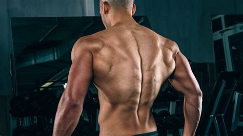 tip build wide shoulders with this superset