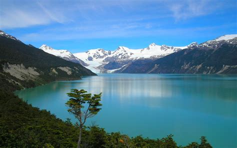Nature Landscape Mountains Forest Chile Snowy Peak Lake Trees Turquoise