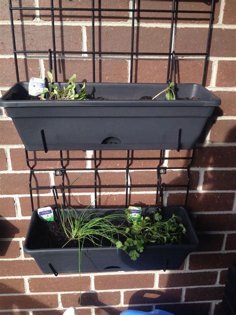 In a limited space like a windowsill, you should probably do this with a few pots.much better if you have a balcony or rooftop, you are all set, and if you have a garden, the possibilities are quite endless. Balcony Gardening Update - The Wall Planter | Balcony herb ...