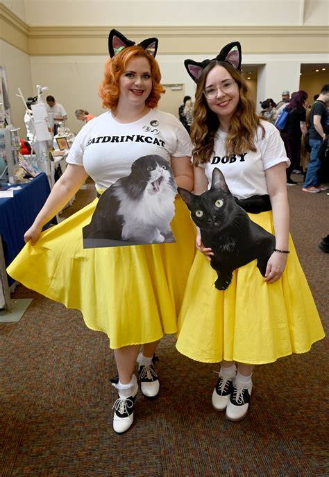 Photos Catcon Worlds Largest Cat Centric Culture Event In Pasadena
